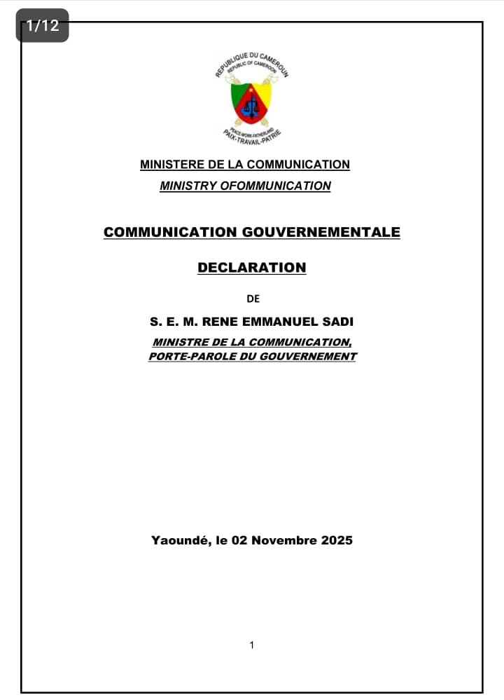 Cameroun post-élections