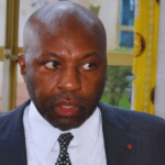 René Ze NGUELE,RDPC,Revision constitutionnelle